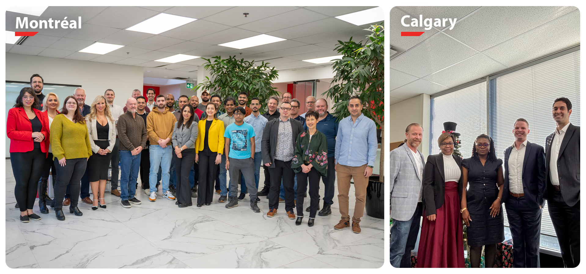 Équipe Arani spécialisée en éclairage DEL au Canada